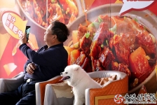《惬意》