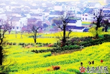 《皖南春色》