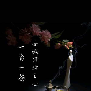 我的相册